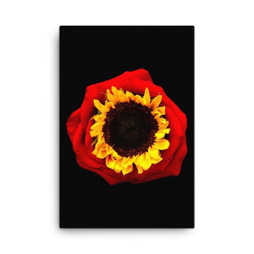 https://i.etsystatic.com/16519884/r/il/c58a94/2184578737/il_fullxfull.2184578737_lv0v.jpg