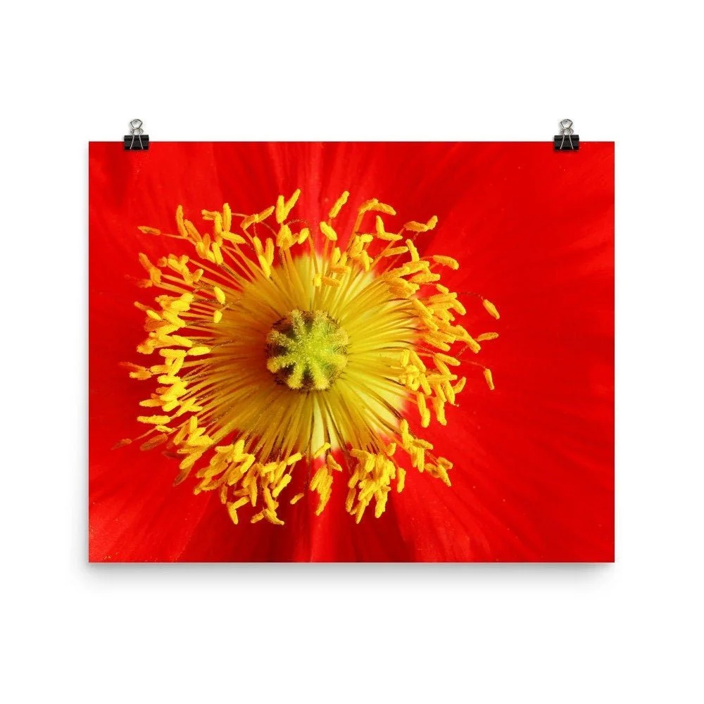 https://i.etsystatic.com/16519884/r/il/5e76ae/2248240751/il_fullxfull.2248240751_2rrv.jpg