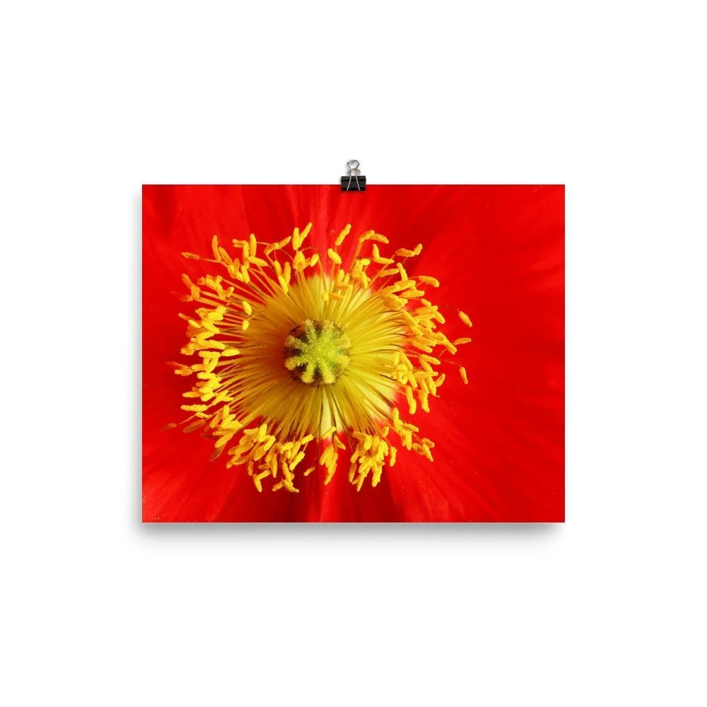https://i.etsystatic.com/16519884/r/il/8dd06f/2200644184/il_fullxfull.2200644184_nckr.jpg