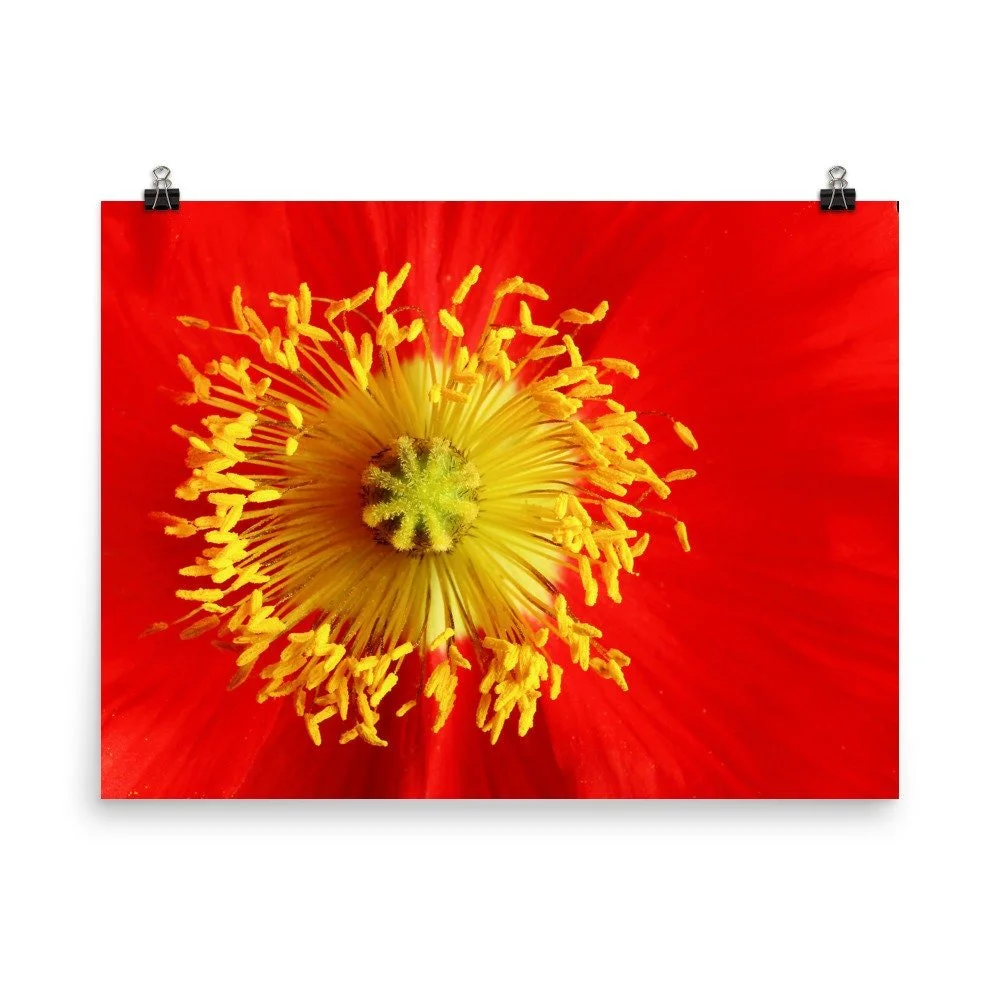 https://i.etsystatic.com/16519884/r/il/28ad58/2200644142/il_fullxfull.2200644142_k5vk.jpg