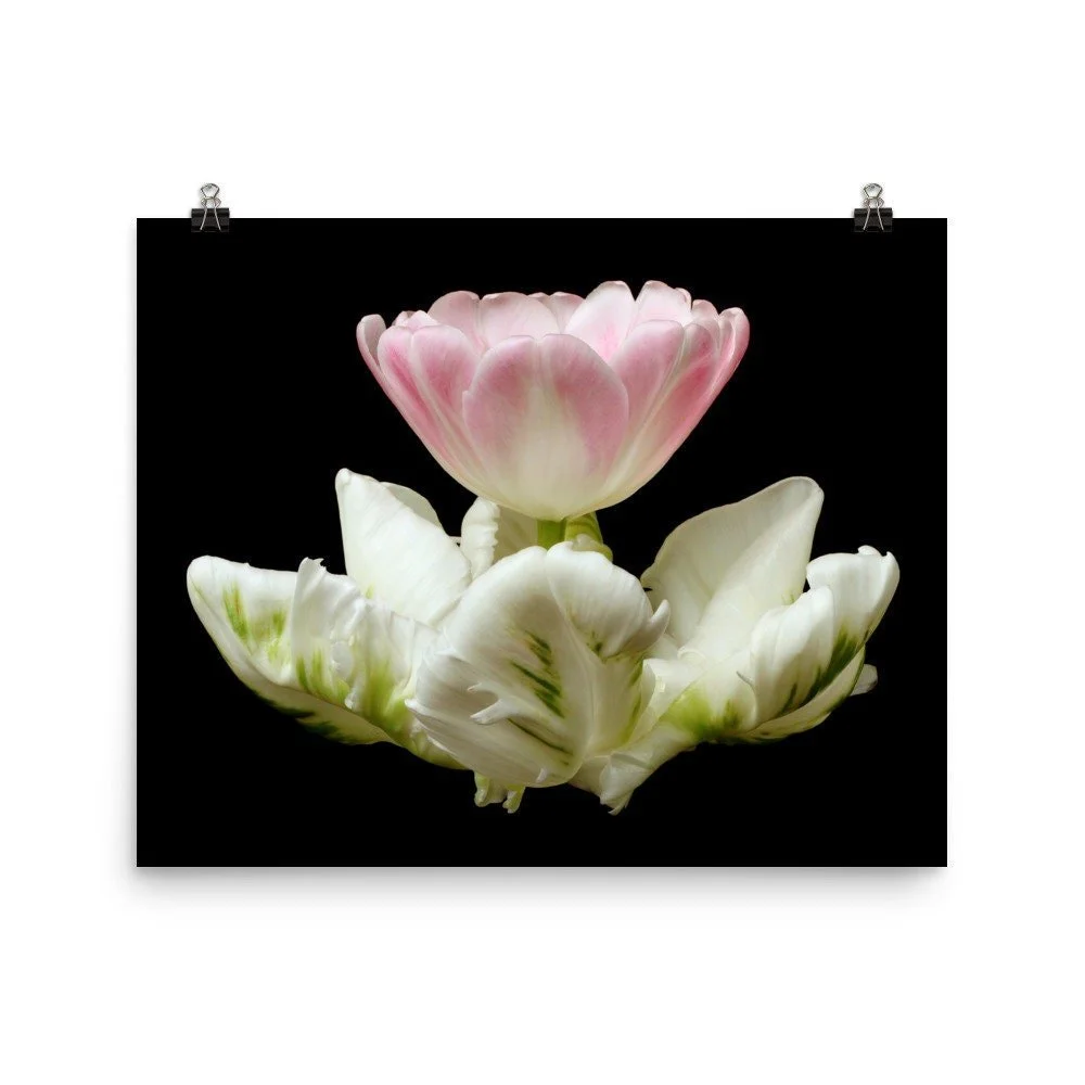 https://i.etsystatic.com/16519884/r/il/b57045/2206712176/il_fullxfull.2206712176_e3bs.jpg