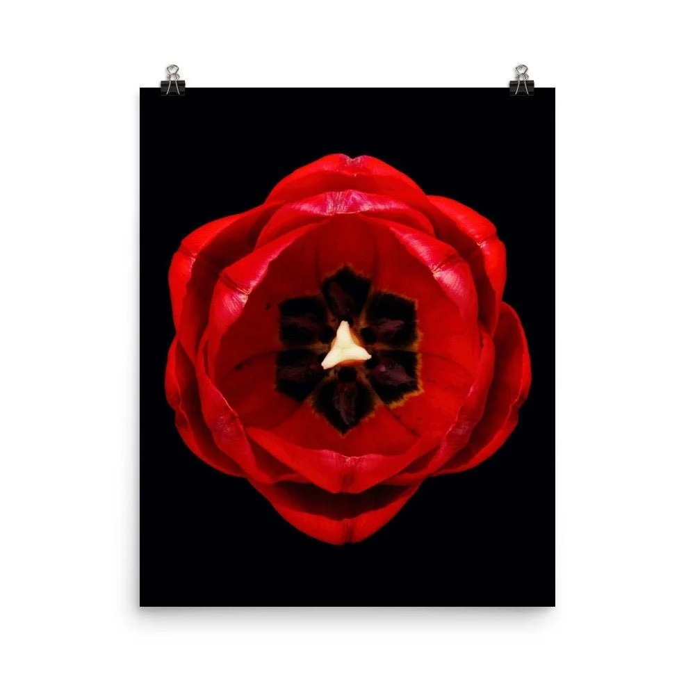 https://i.etsystatic.com/16519884/r/il/057b5b/2254921923/il_fullxfull.2254921923_m0gr.jpg