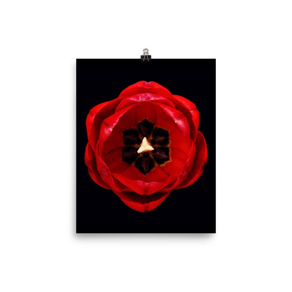 https://i.etsystatic.com/16519884/r/il/168fcb/2207318068/il_fullxfull.2207318068_ct1n.jpg