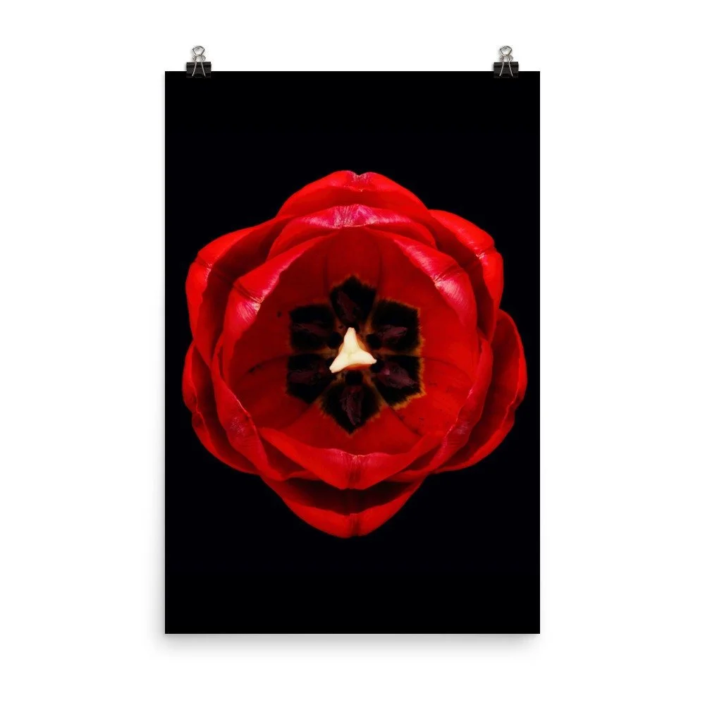 https://i.etsystatic.com/16519884/r/il/4cb64e/2207317972/il_fullxfull.2207317972_piak.jpg