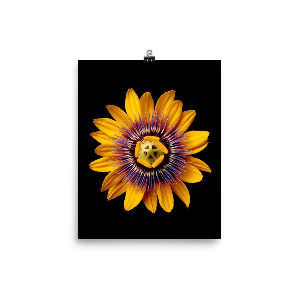 https://i.etsystatic.com/16519884/r/il/4b3873/2162432958/il_fullxfull.2162432958_iod0.jpg