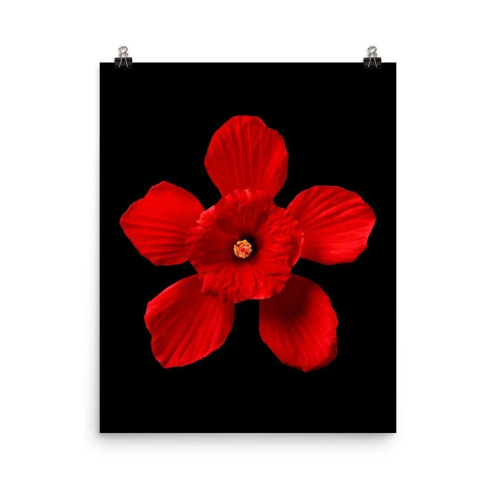 https://i.etsystatic.com/16519884/r/il/2eeef4/2210005635/il_fullxfull.2210005635_q6pr.jpg