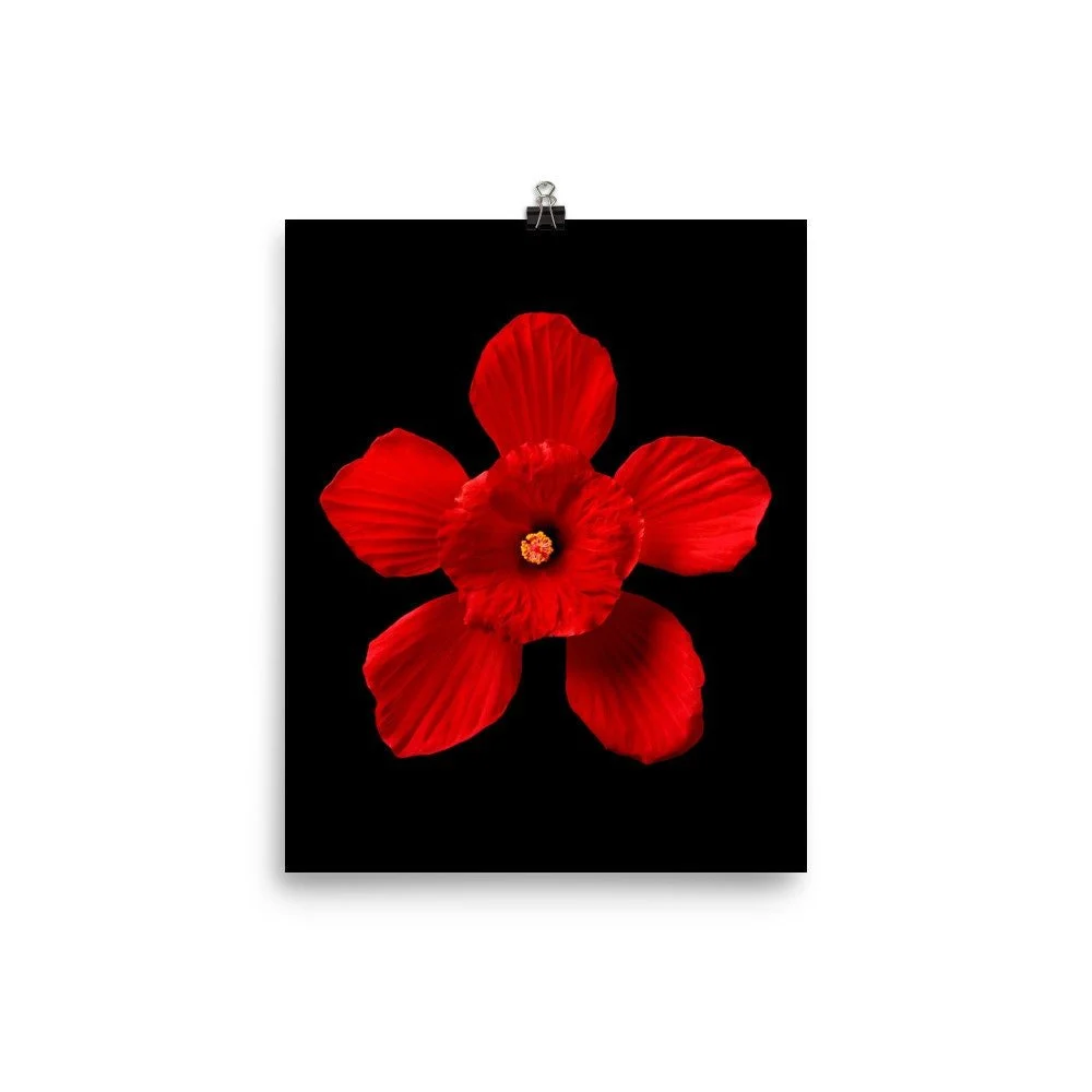https://i.etsystatic.com/16519884/r/il/28c4d8/2162443934/il_fullxfull.2162443934_q16x.jpg