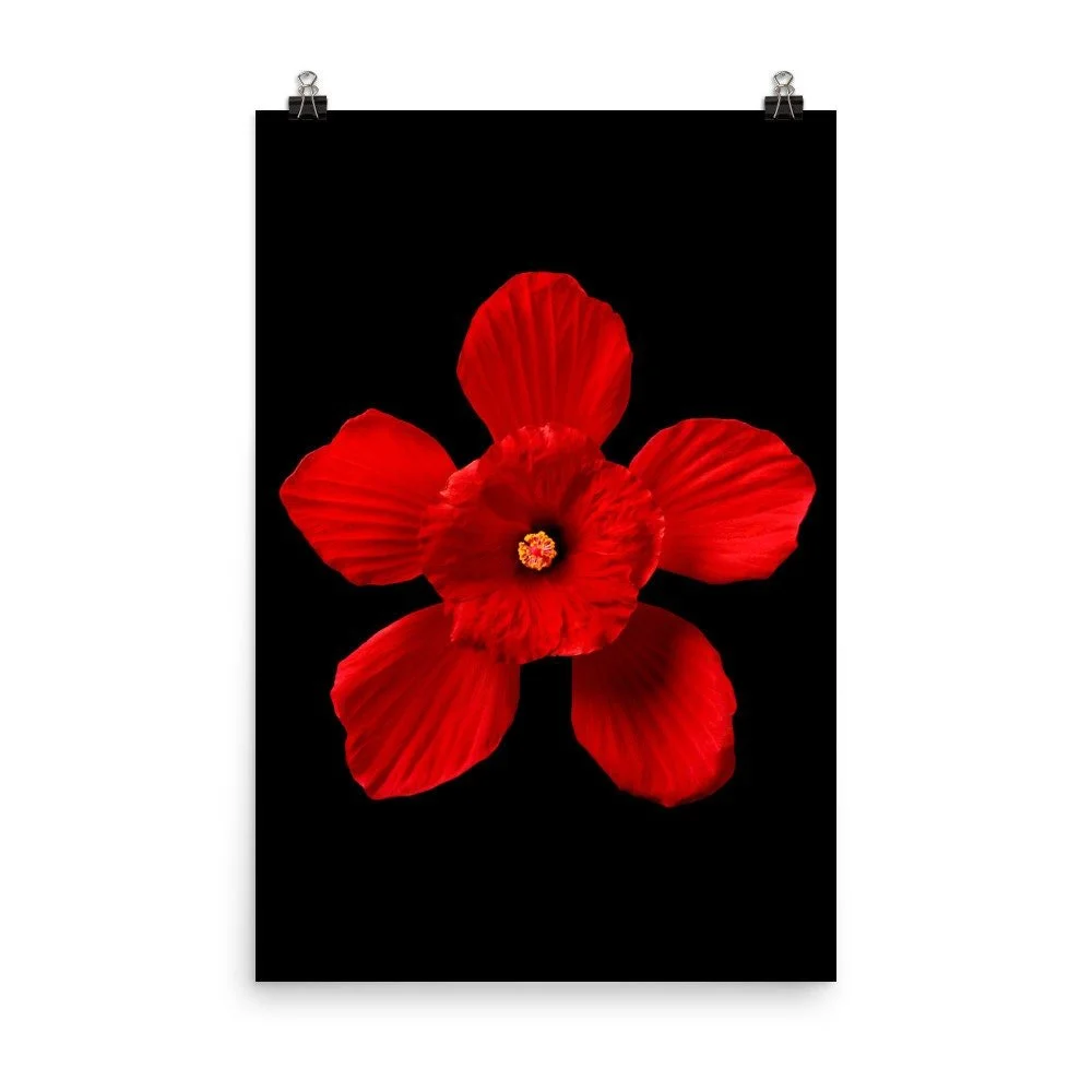 https://i.etsystatic.com/16519884/r/il/af0127/2162443824/il_fullxfull.2162443824_p5xs.jpg