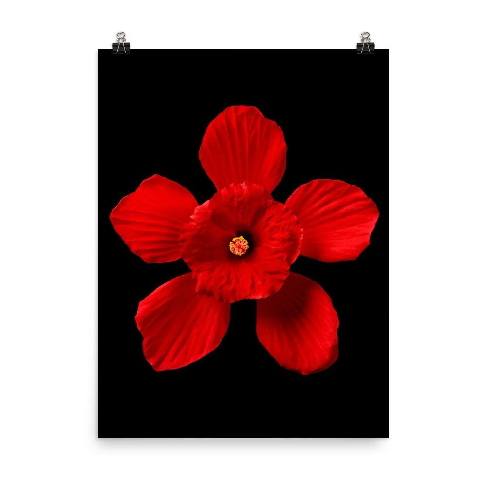 https://i.etsystatic.com/16519884/r/il/4efaf1/2210004983/il_fullxfull.2210004983_4ean.jpg