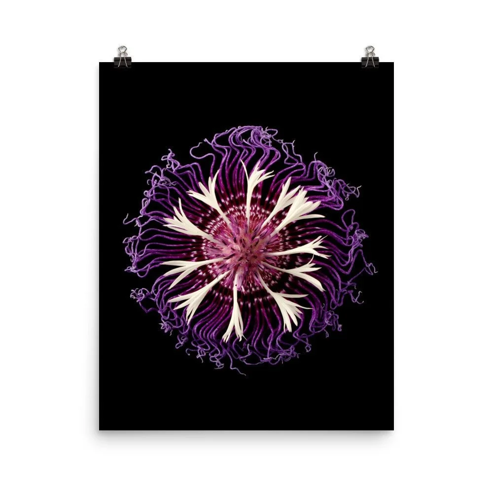 https://i.etsystatic.com/16519884/r/il/7794b4/2206666908/il_fullxfull.2206666908_4w8c.jpg