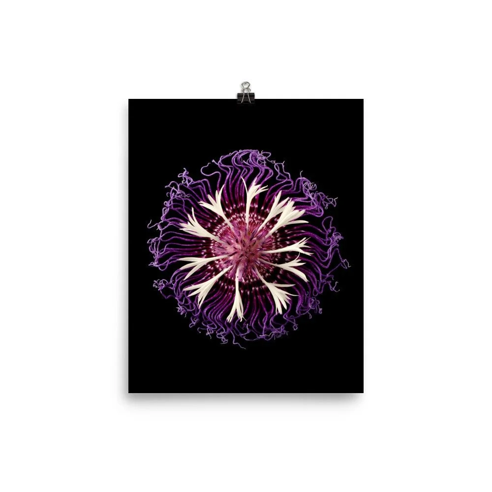 https://i.etsystatic.com/16519884/r/il/48ebd1/2206660980/il_fullxfull.2206660980_jl0q.jpg