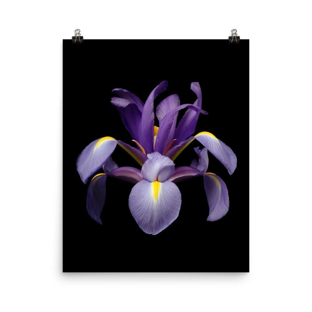 https://i.etsystatic.com/16519884/r/il/722959/2254299085/il_fullxfull.2254299085_p34b.jpg