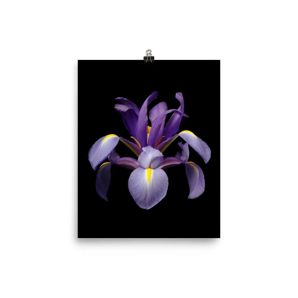 https://i.etsystatic.com/16519884/r/il/5e67fc/2206697088/il_fullxfull.2206697088_r12n.jpg
