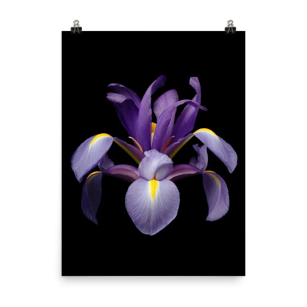 https://i.etsystatic.com/16519884/r/il/5c6e40/2206697022/il_fullxfull.2206697022_q7yn.jpg