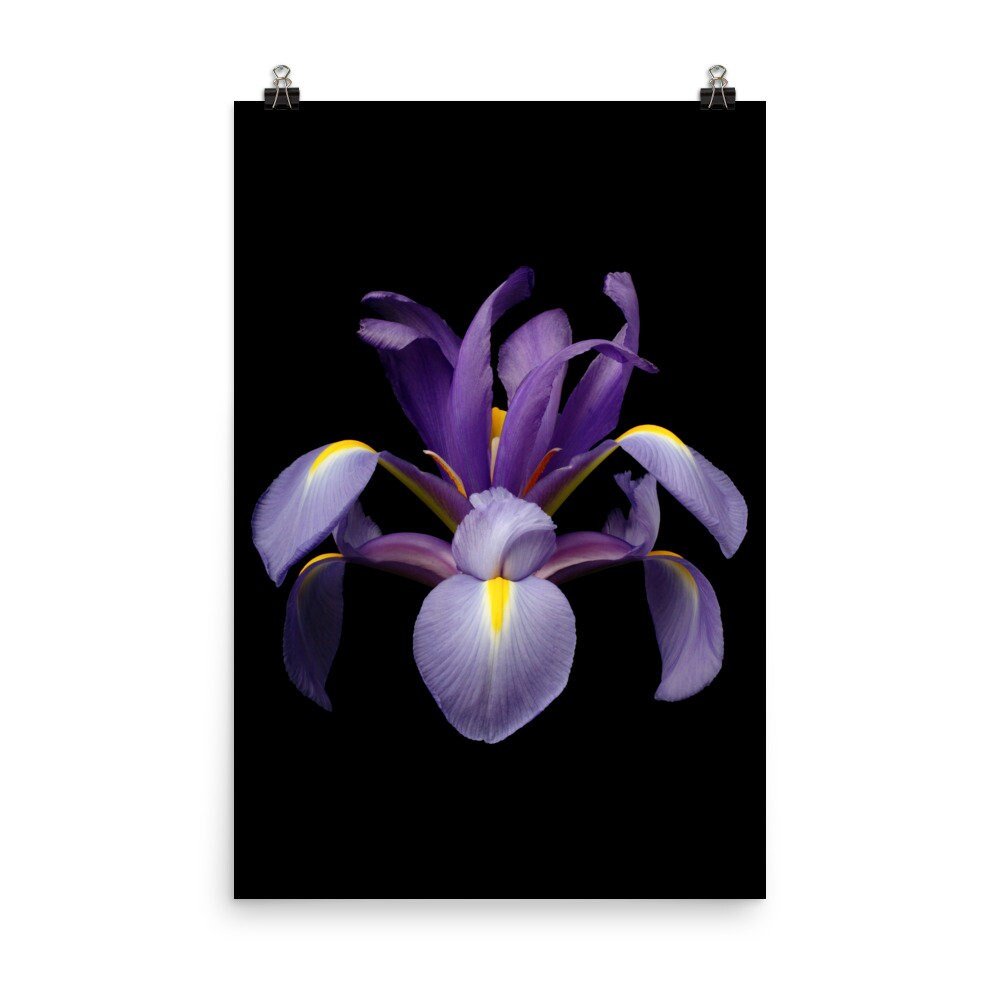 https://i.etsystatic.com/16519884/r/il/6c4f6b/2254298411/il_fullxfull.2254298411_tc4a.jpg