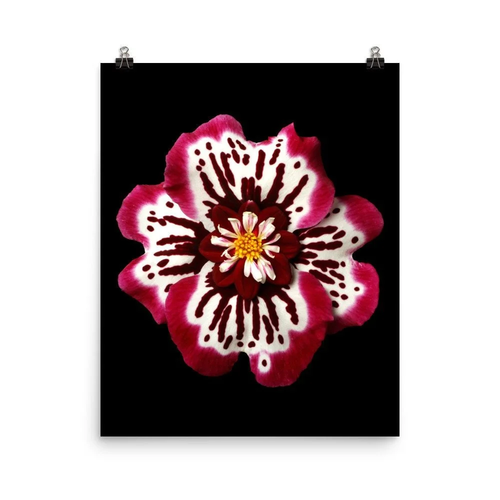 https://i.etsystatic.com/16519884/r/il/1907c9/2254980385/il_fullxfull.2254980385_7nym.jpg