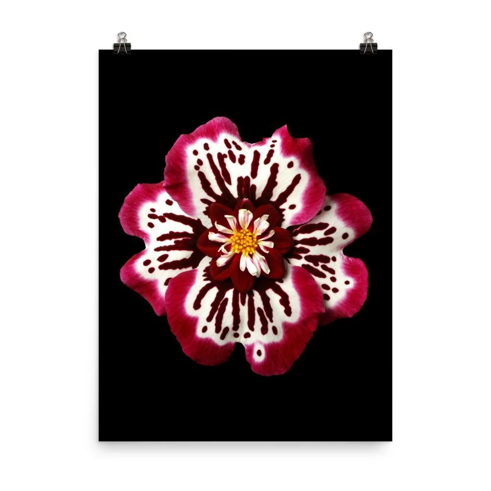 https://i.etsystatic.com/16519884/r/il/646e82/2254979947/il_fullxfull.2254979947_bvrn.jpg