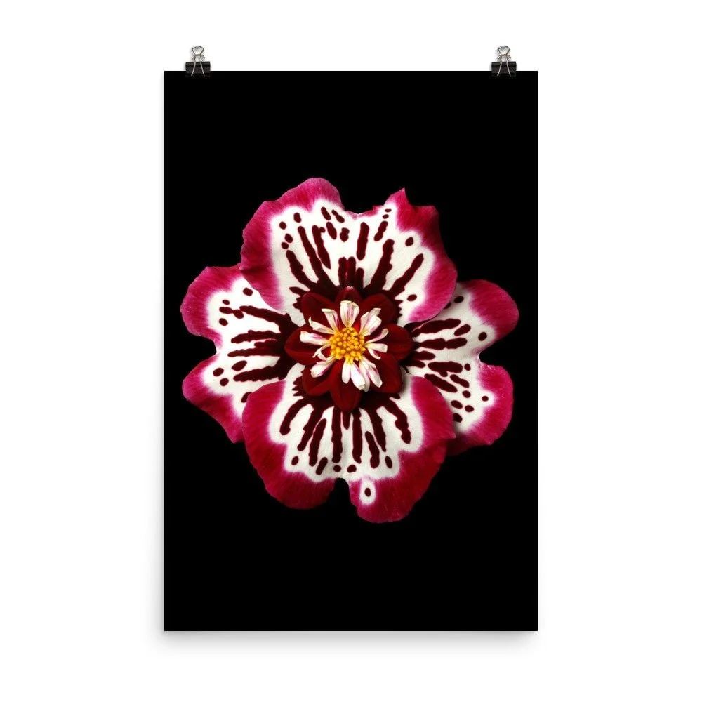 https://i.etsystatic.com/16519884/r/il/a09603/2254979889/il_fullxfull.2254979889_1br9.jpg