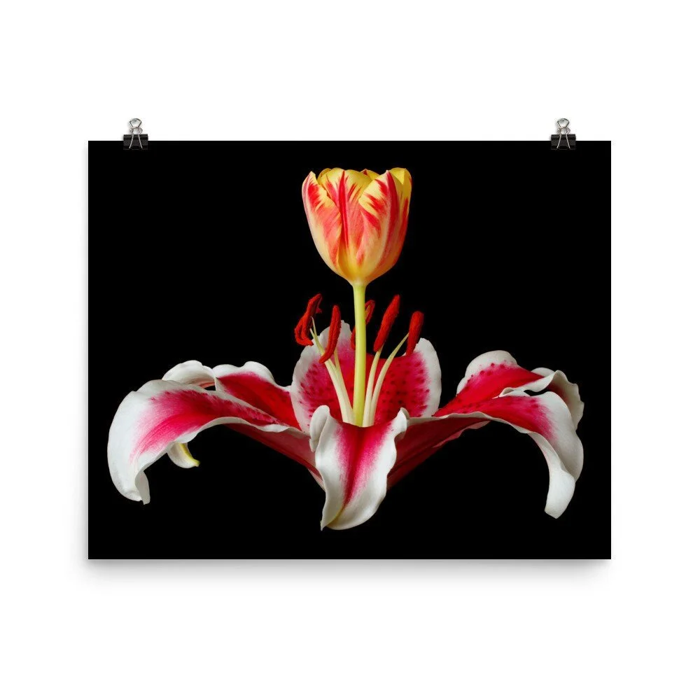 https://i.etsystatic.com/16519884/r/il/d402d0/2255018587/il_fullxfull.2255018587_rye8.jpg