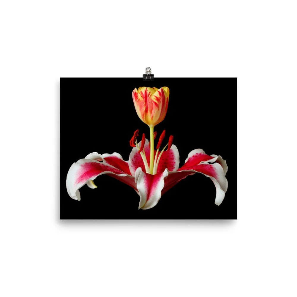 https://i.etsystatic.com/16519884/r/il/4a0579/2255010205/il_fullxfull.2255010205_hiru.jpg