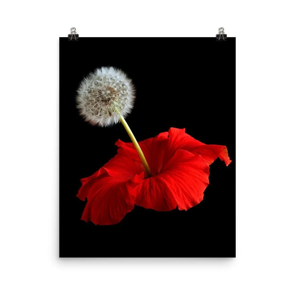 https://i.etsystatic.com/16519884/r/il/ff2c84/2255120059/il_fullxfull.2255120059_dtx2.jpg