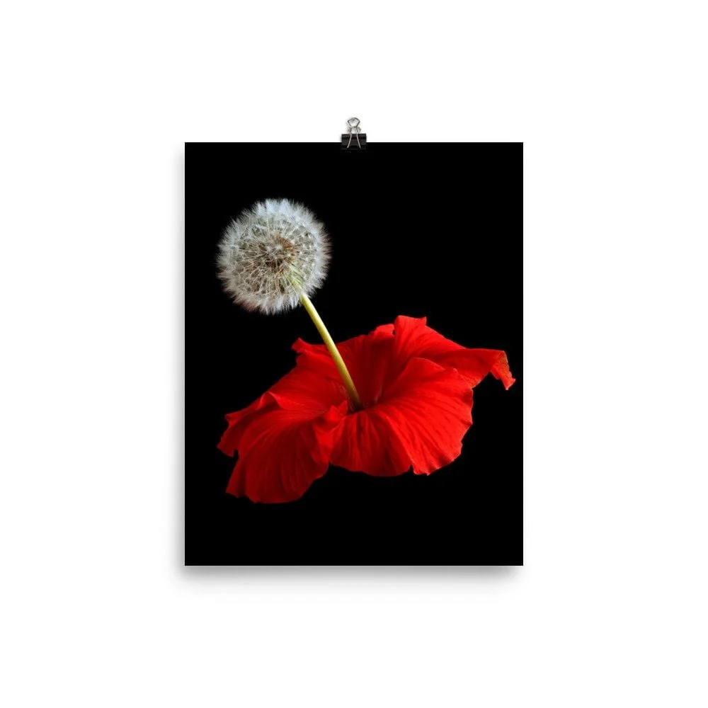 https://i.etsystatic.com/16519884/r/il/c16e35/2255119211/il_fullxfull.2255119211_towk.jpg