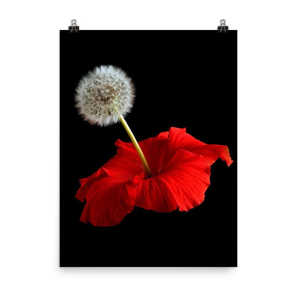 https://i.etsystatic.com/16519884/r/il/428539/2207517370/il_fullxfull.2207517370_o93o.jpg