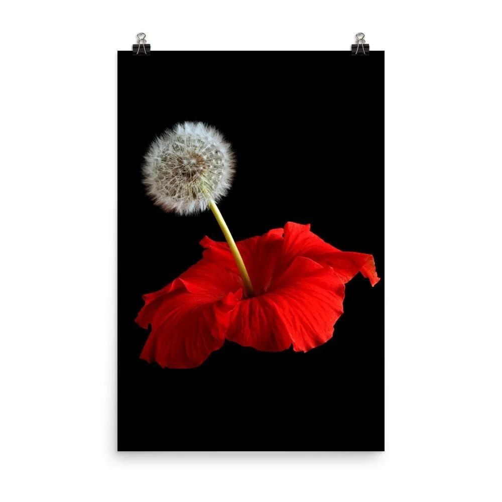 https://i.etsystatic.com/16519884/r/il/9f0a7e/2255119109/il_fullxfull.2255119109_tvei.jpg
