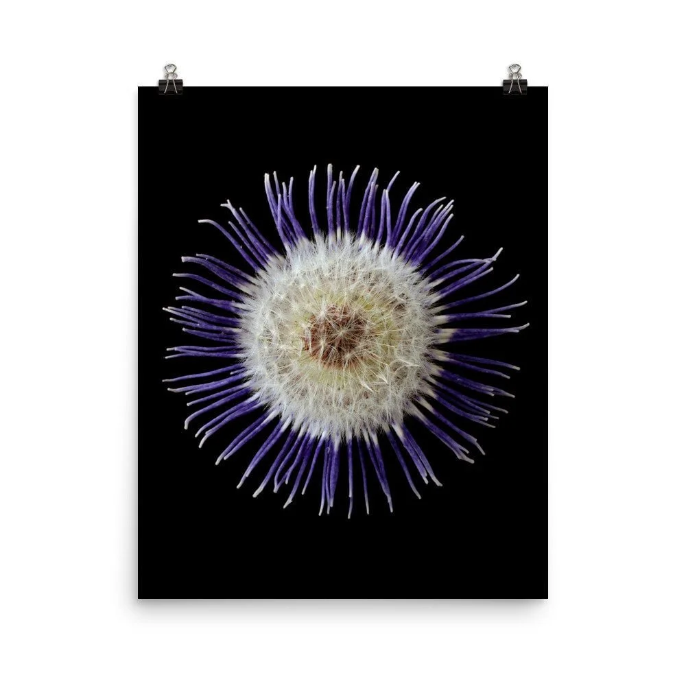https://i.etsystatic.com/16519884/r/il/f0dd60/2257304389/il_fullxfull.2257304389_rkr7.jpg