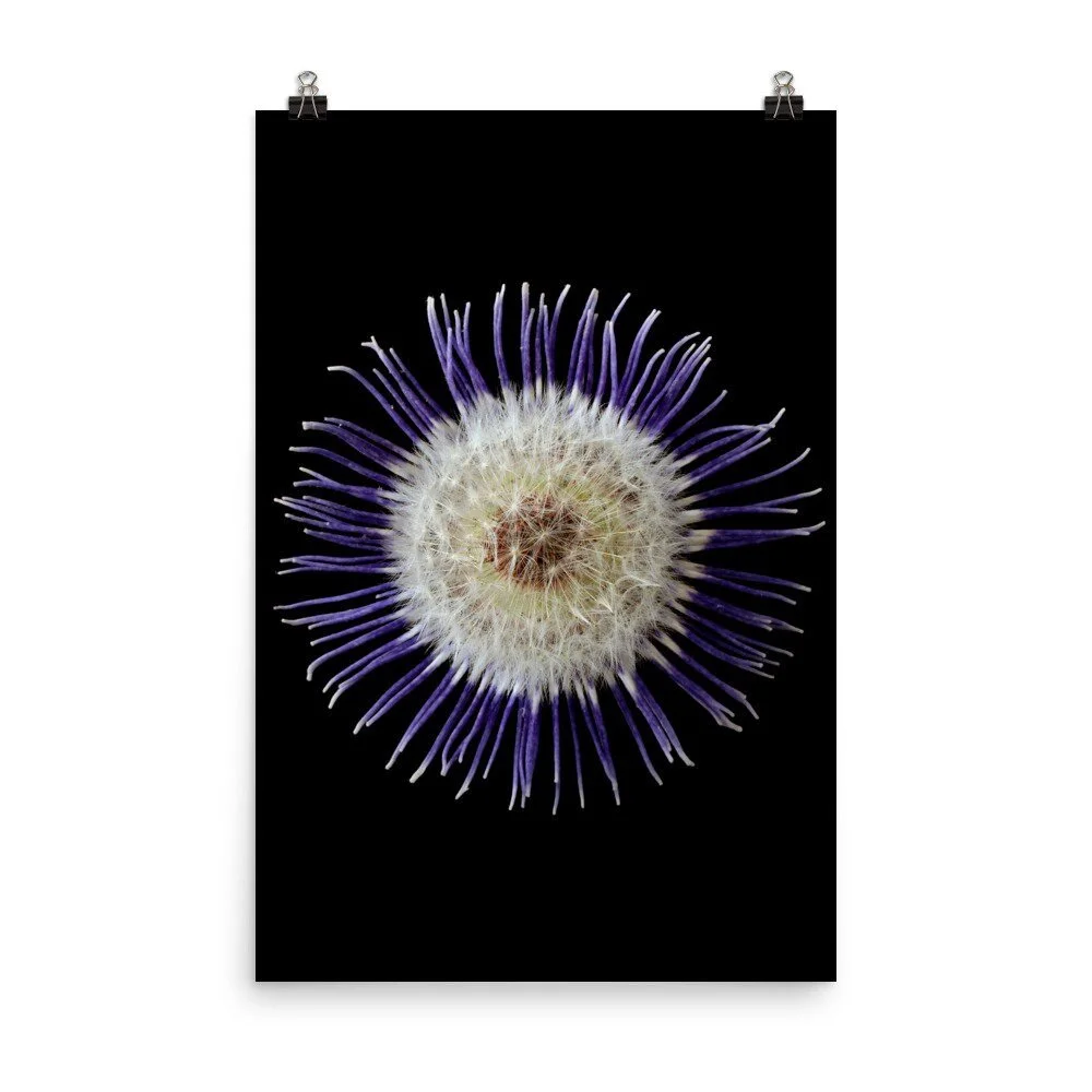 https://i.etsystatic.com/16519884/r/il/890bd9/2209709076/il_fullxfull.2209709076_tioj.jpg
