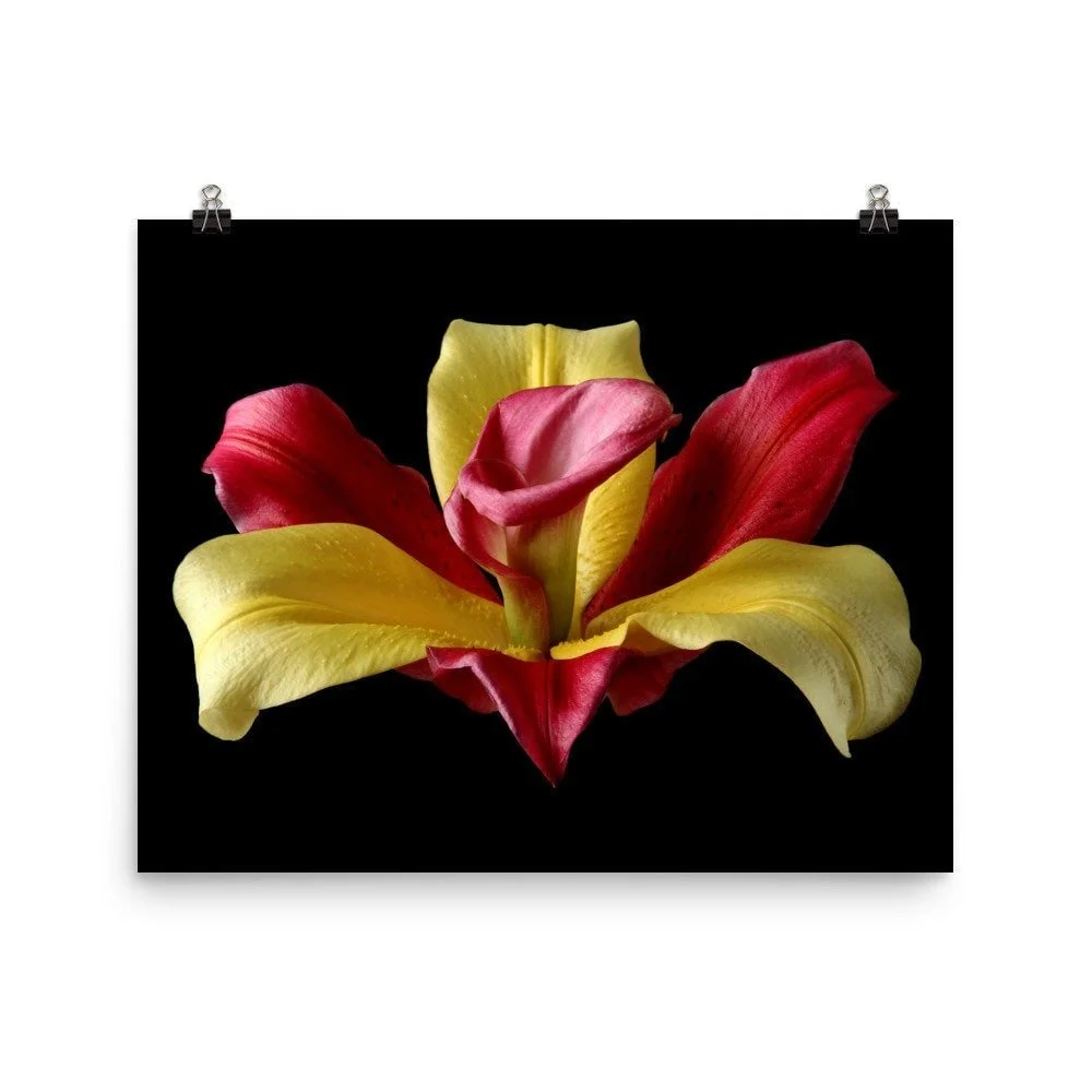 https://i.etsystatic.com/16519884/r/il/499898/2209726382/il_fullxfull.2209726382_tqma.jpg
