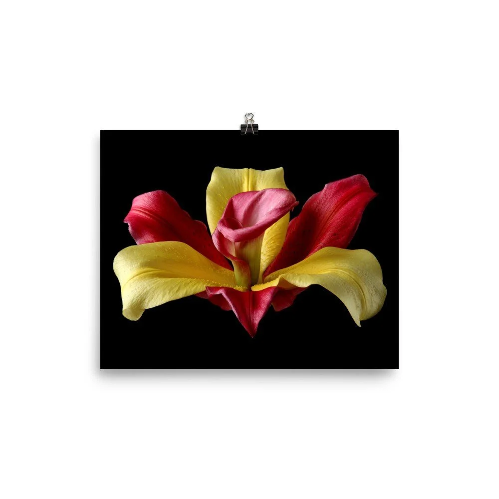 https://i.etsystatic.com/16519884/r/il/56eb78/2209725648/il_fullxfull.2209725648_szmt.jpg