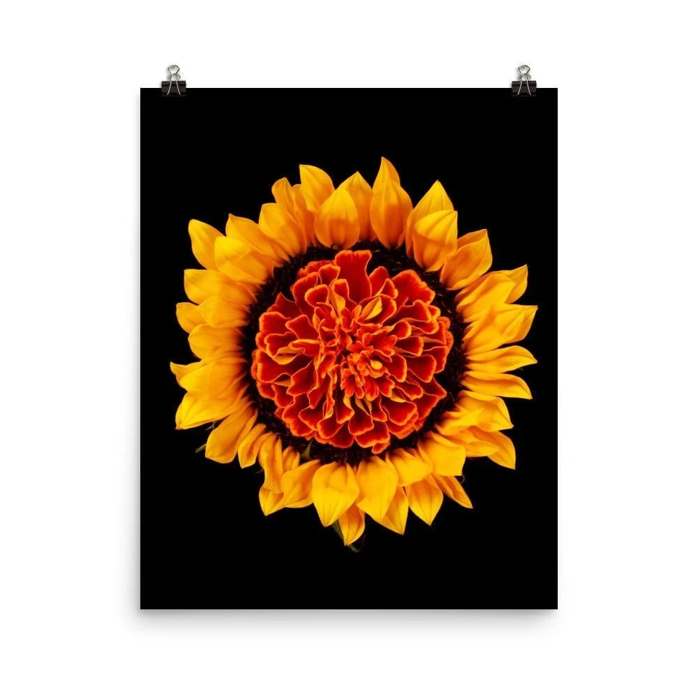 https://i.etsystatic.com/16519884/r/il/2484be/2258085261/il_fullxfull.2258085261_n97t.jpg