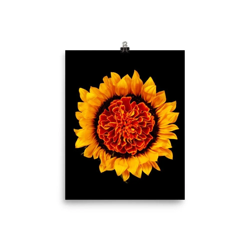 https://i.etsystatic.com/16519884/r/il/e80e0b/2258084791/il_fullxfull.2258084791_smr8.jpg