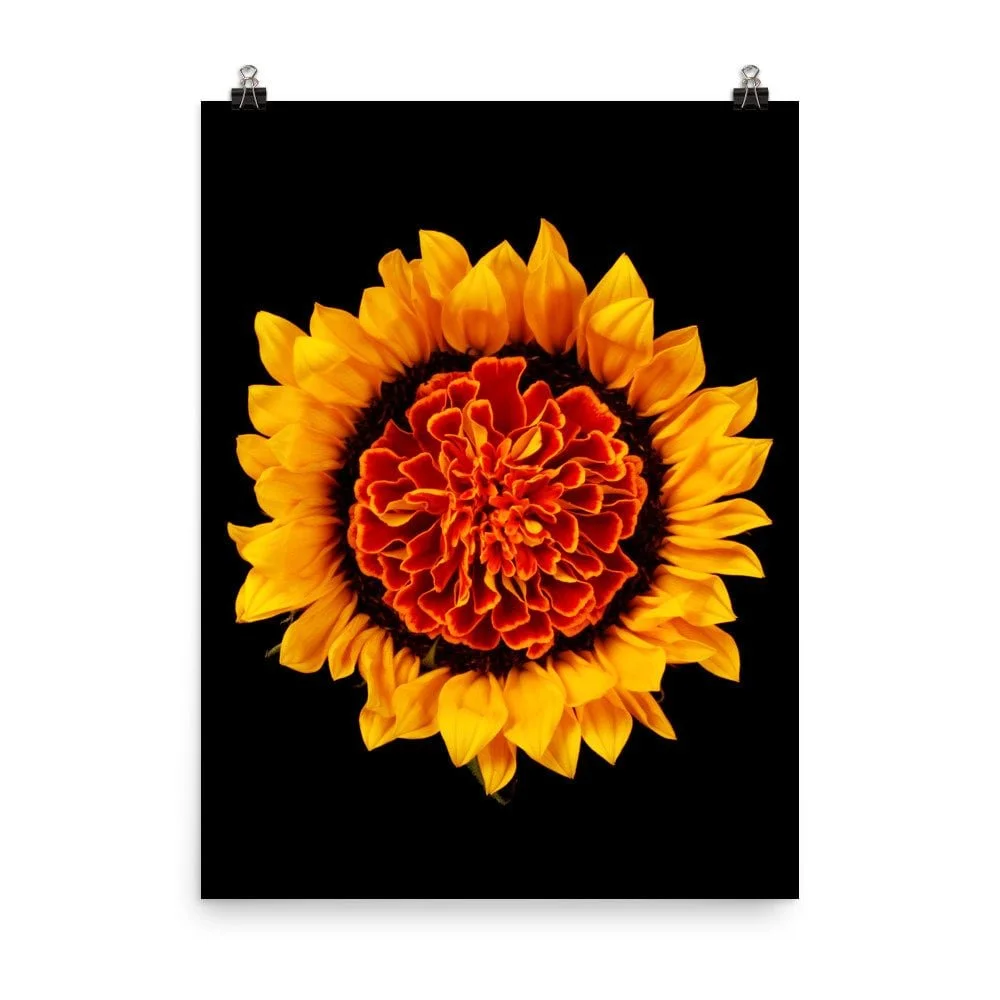 https://i.etsystatic.com/16519884/r/il/178257/2210492134/il_fullxfull.2210492134_m9d9.jpg