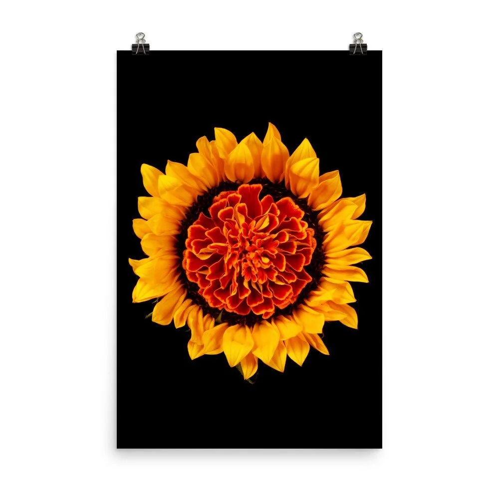 https://i.etsystatic.com/16519884/r/il/deb558/2258084735/il_fullxfull.2258084735_963y.jpg