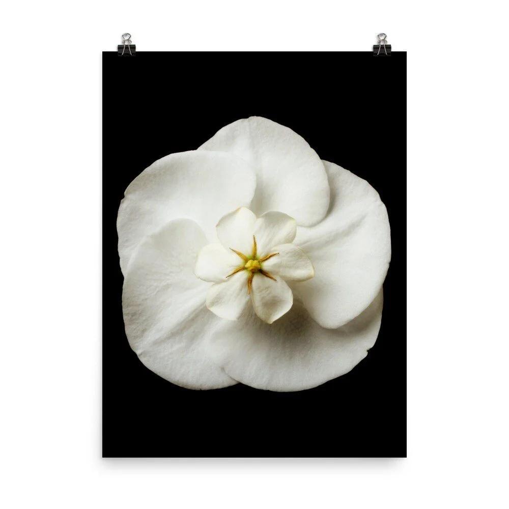 https://i.etsystatic.com/16519884/r/il/21142a/2262119847/il_fullxfull.2262119847_d7ta.jpg