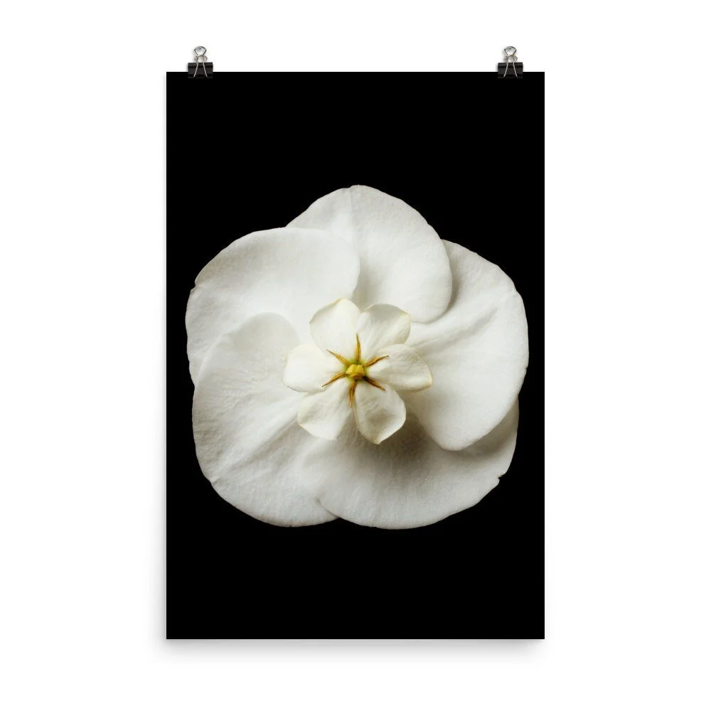 https://i.etsystatic.com/16519884/r/il/742b48/2262119809/il_fullxfull.2262119809_8ljc.jpg