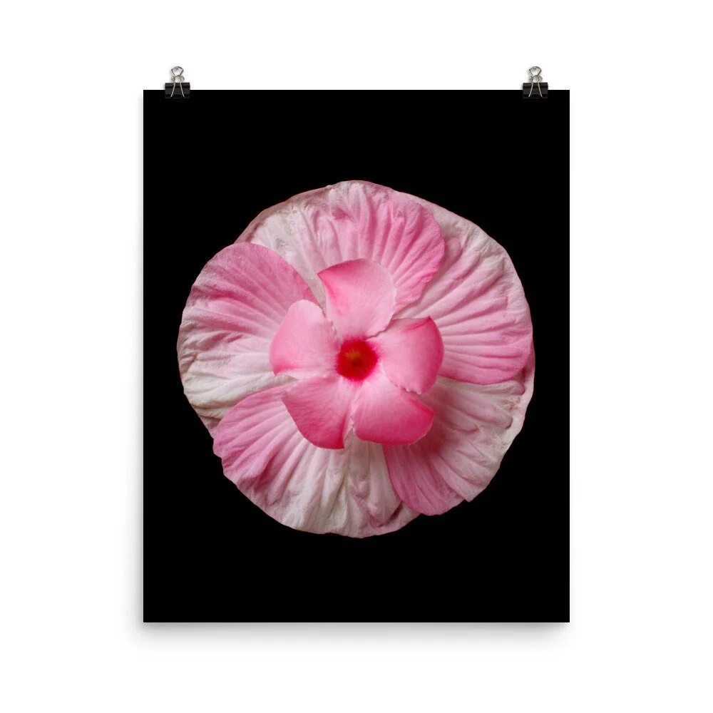https://i.etsystatic.com/16519884/r/il/ee8f17/2209948147/il_fullxfull.2209948147_ye07.jpg
