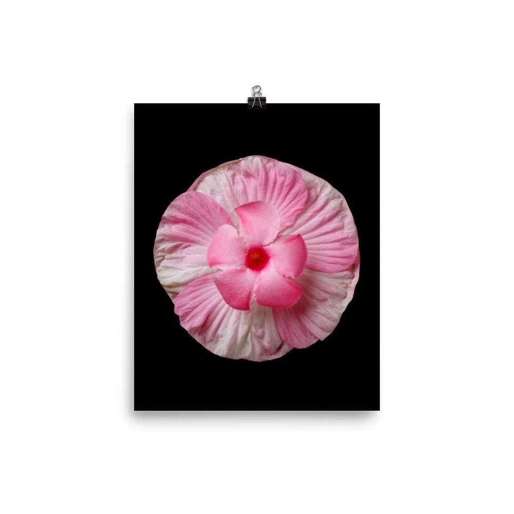 https://i.etsystatic.com/16519884/r/il/73621b/2162386194/il_fullxfull.2162386194_cqcz.jpg