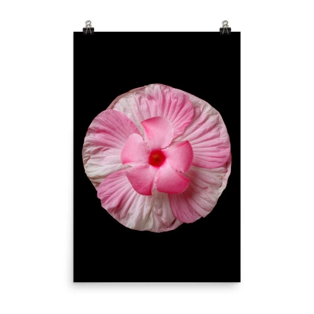 https://i.etsystatic.com/16519884/r/il/11698f/2209946981/il_fullxfull.2209946981_plch.jpg