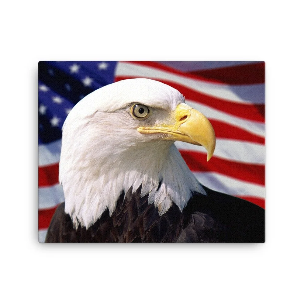 https://i.etsystatic.com/16519884/r/il/9f2c24/2332098220/il_fullxfull.2332098220_qbt1.jpg