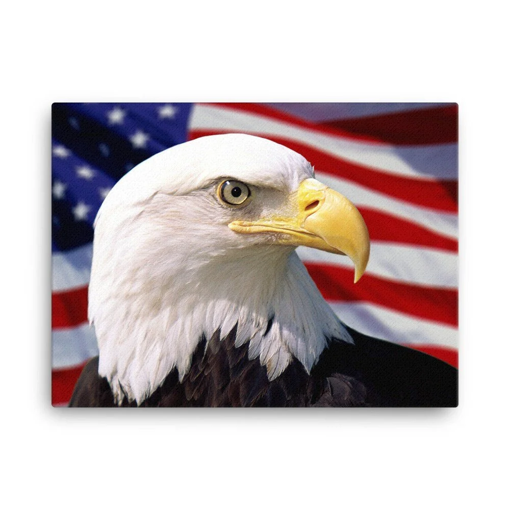 https://i.etsystatic.com/16519884/r/il/dac744/2187809153/il_fullxfull.2187809153_bqms.jpg