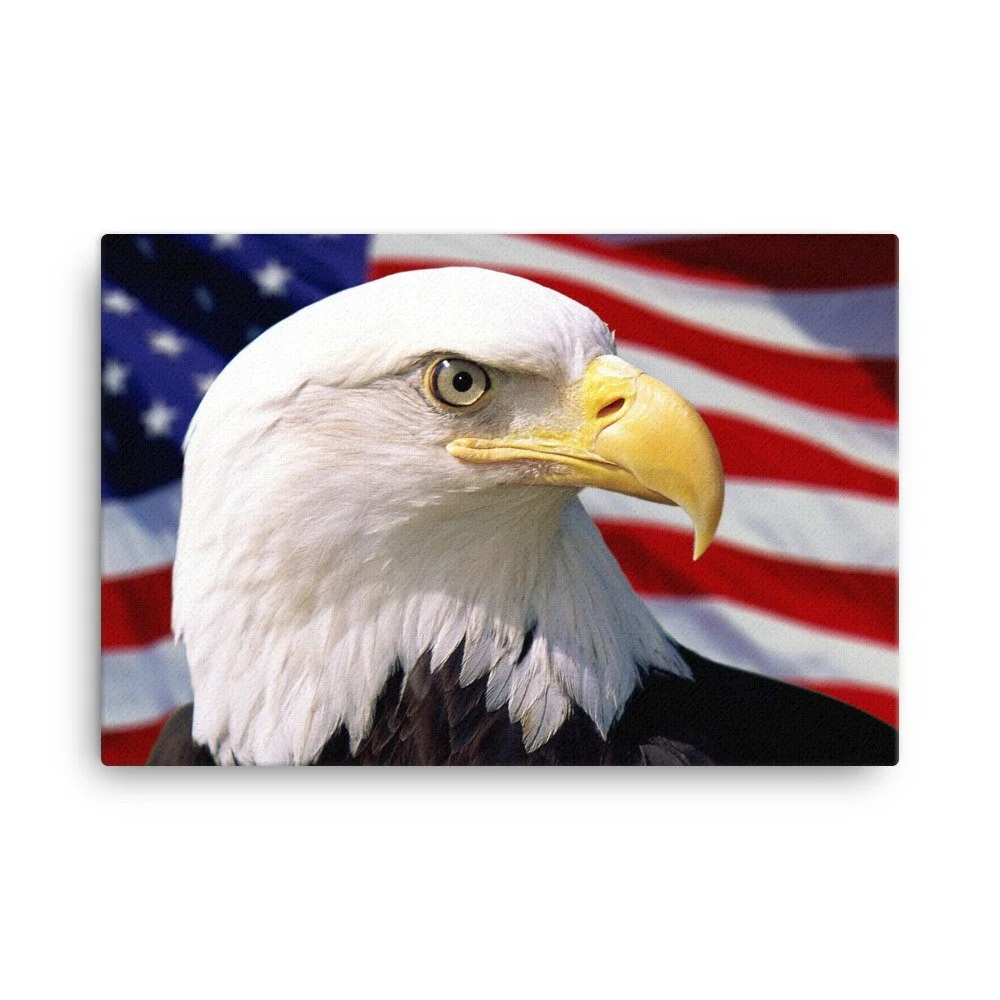 https://i.etsystatic.com/16519884/r/il/07f273/2140257784/il_fullxfull.2140257784_dsjj.jpg