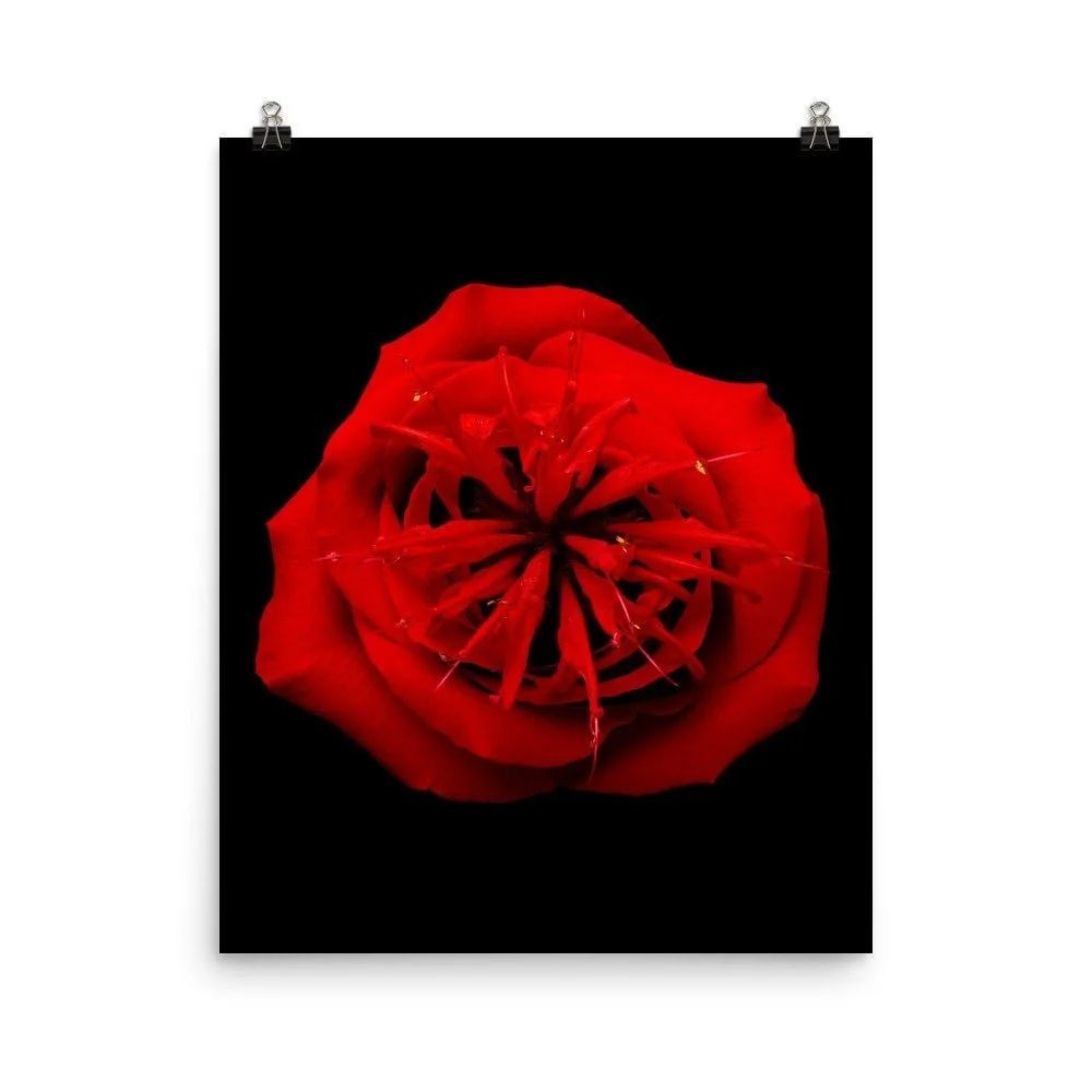 https://i.etsystatic.com/16519884/r/il/31e802/2254341405/il_fullxfull.2254341405_dh2t.jpg