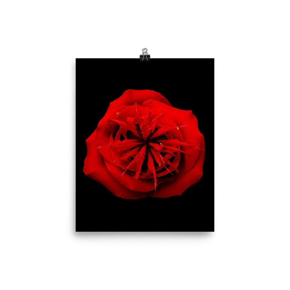 https://i.etsystatic.com/16519884/r/il/a69953/2206740086/il_fullxfull.2206740086_1vv9.jpg
