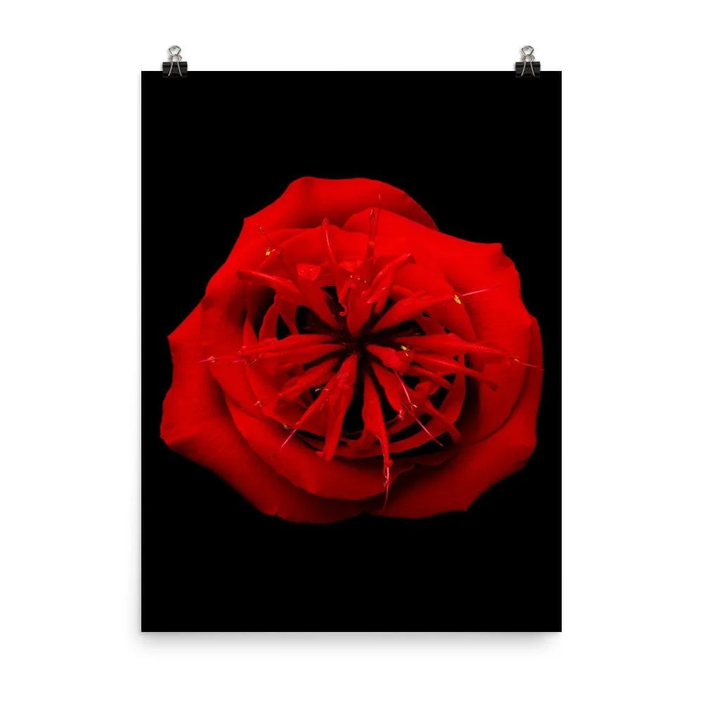 https://i.etsystatic.com/16519884/r/il/9a3963/2254340675/il_fullxfull.2254340675_99kq.jpg