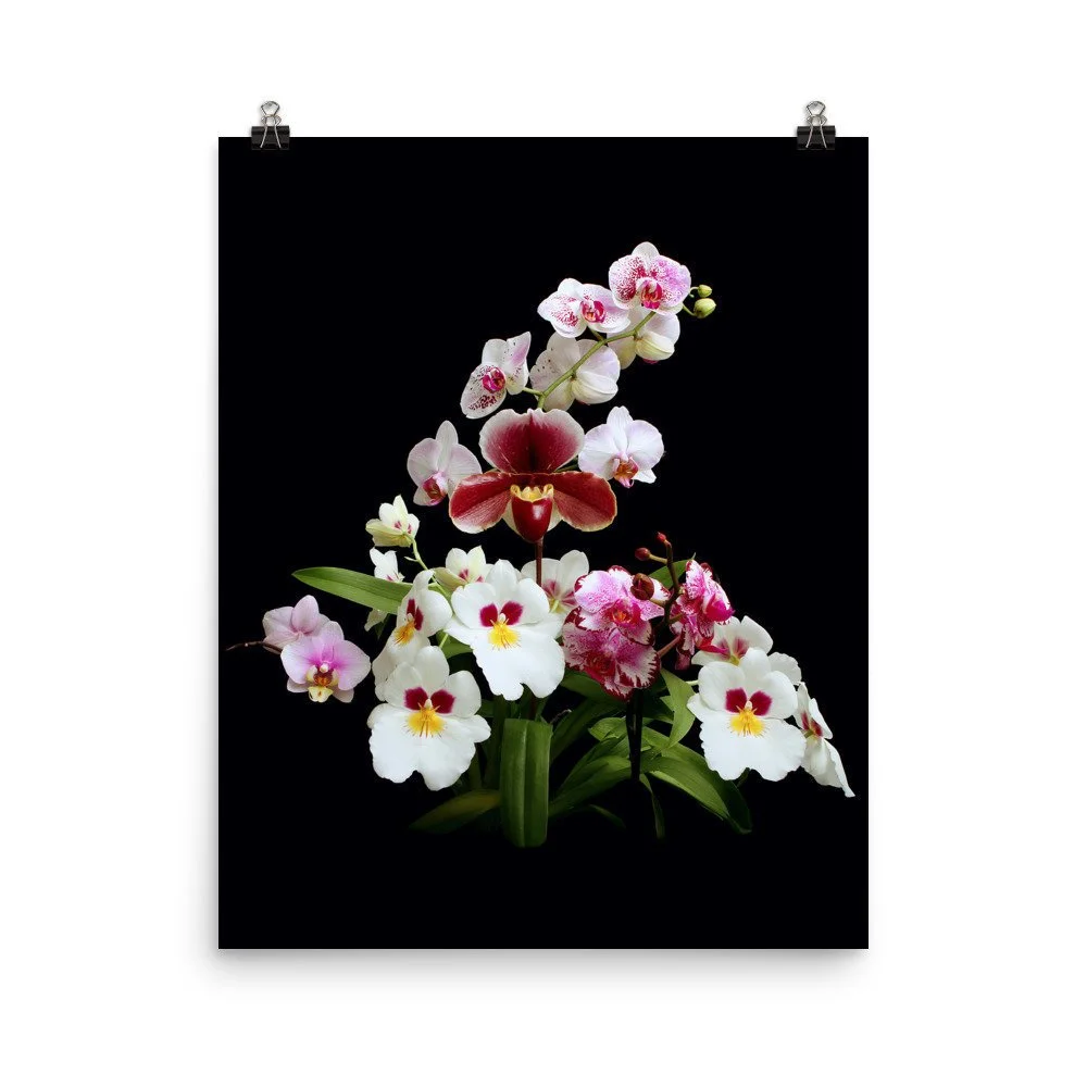 https://i.etsystatic.com/16519884/r/il/36769c/2478090073/il_fullxfull.2478090073_jaft.jpg
