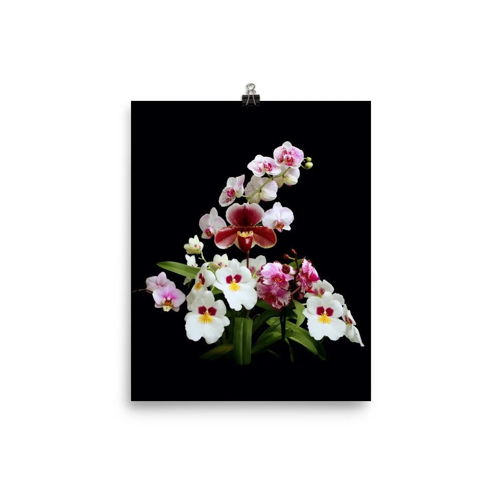 https://i.etsystatic.com/16519884/r/il/382b52/2430458624/il_fullxfull.2430458624_s5eu.jpg