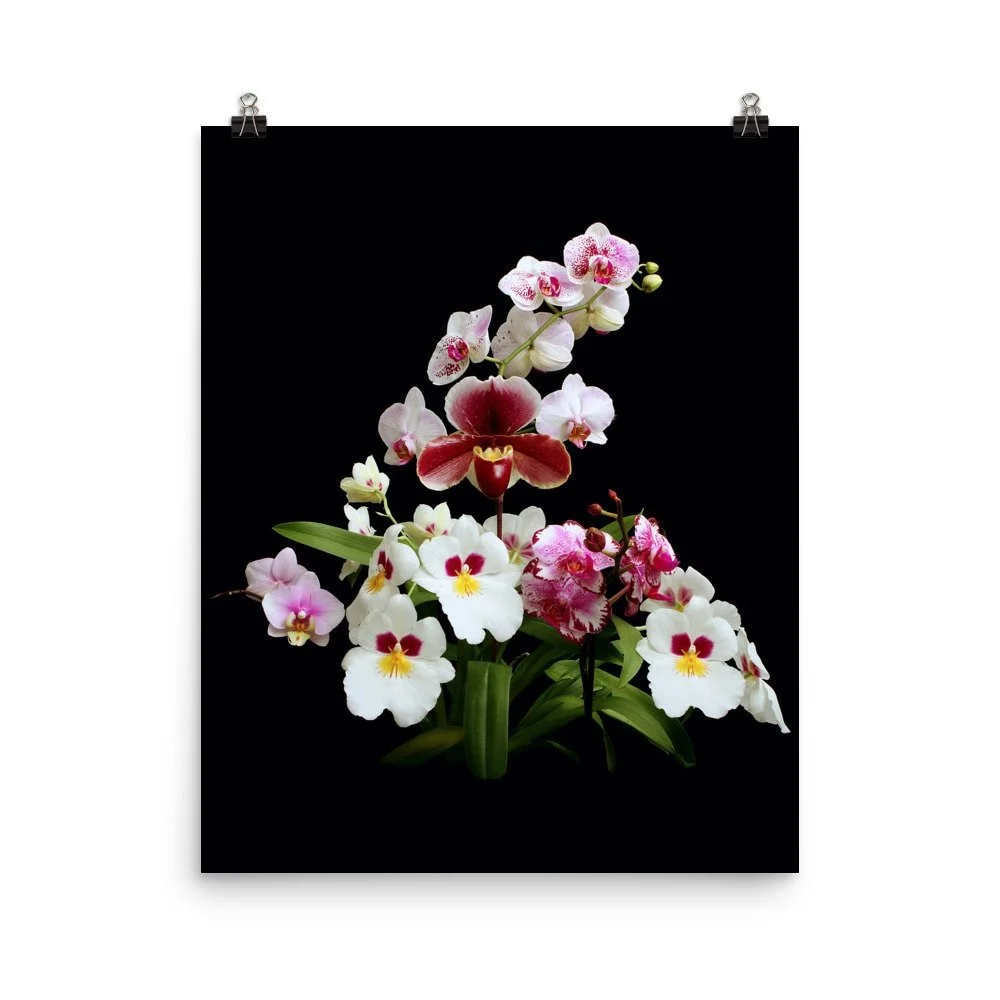 https://i.etsystatic.com/16519884/r/il/c926a3/2430446490/il_fullxfull.2430446490_l2k5.jpg